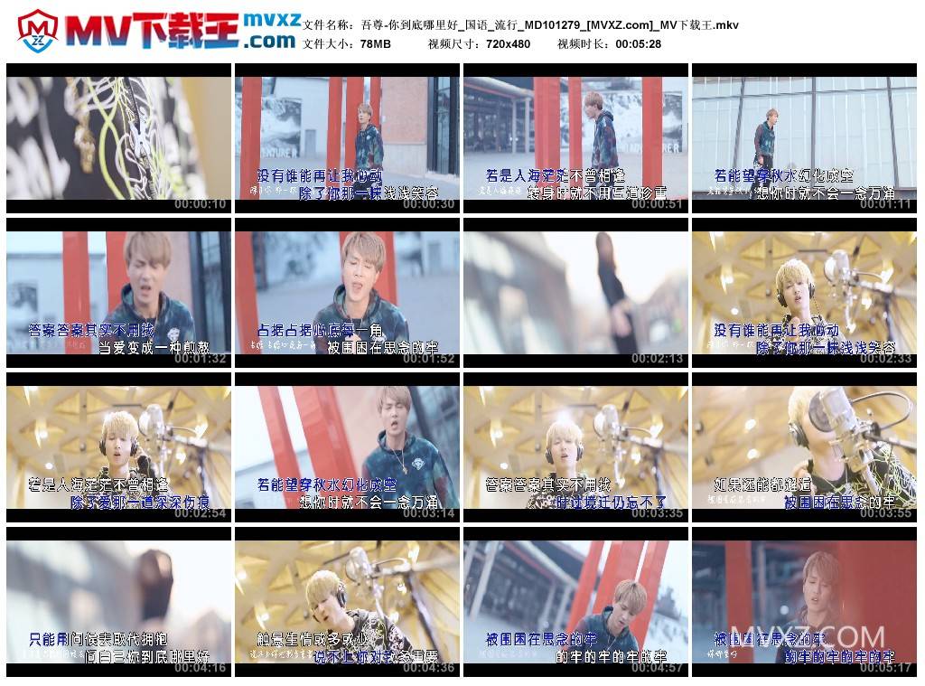 吾尊-你到底哪里好_国语_流行_MD101279